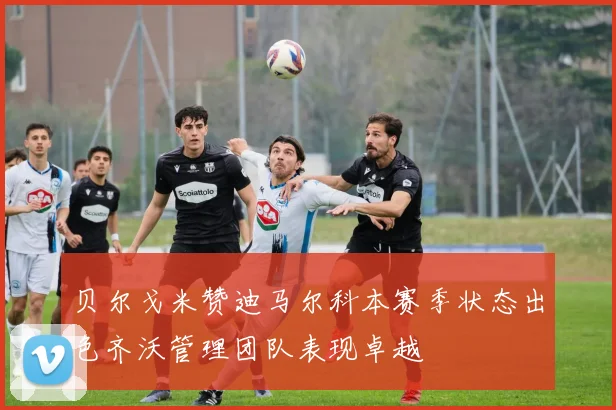 贝尔戈米赞迪马尔科本赛季状态出色齐沃管理团队表现卓越