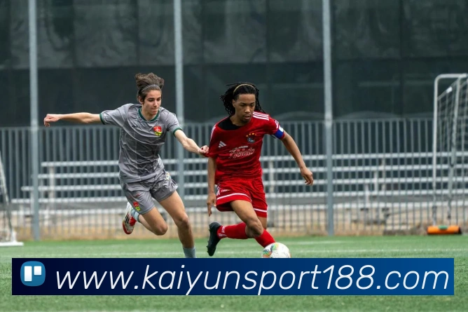 开云体育发展历程